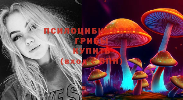 прущие грибы Абаза