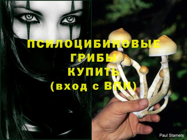 бошки Сафоново