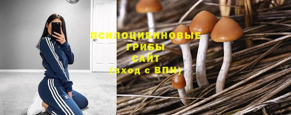 кокаин колумбия Сатка