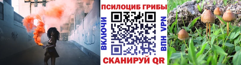 Галлюциногенные грибы Psilocybe  Белоусово 