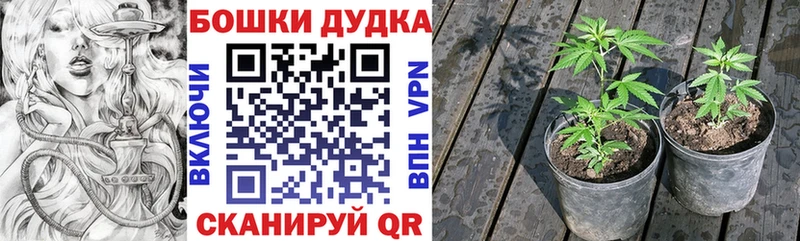 мега как зайти  Белоусово  Шишки марихуана Amnesia 